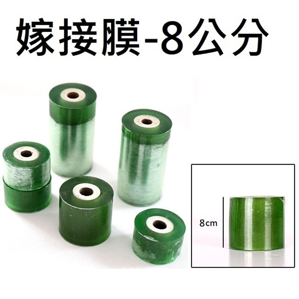 tw-11134207-7rbke-maflk896mgza7d