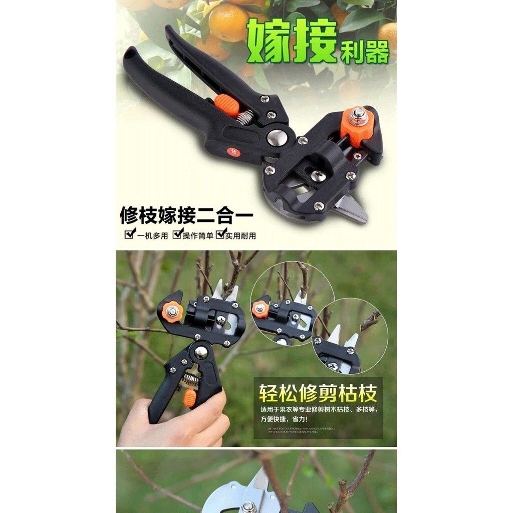sg-11134201-7rdvw-lz30w18rrv4q1d