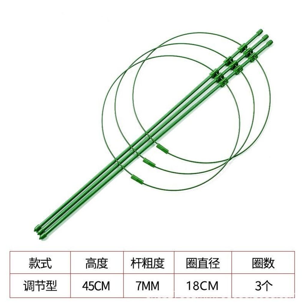 sg-11134201-7rfgd-m9qziapc1ul2f9