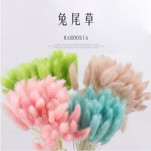 sg-11134201-7rdx9-lz2s3x457ptg07