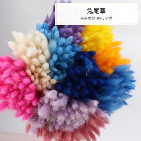 sg-11134201-7rdyf-lz2s3xa8yrw75d