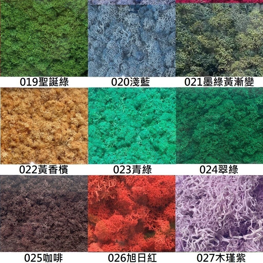 sg-11134201-7rdwv-lz2s41l2o7sk54