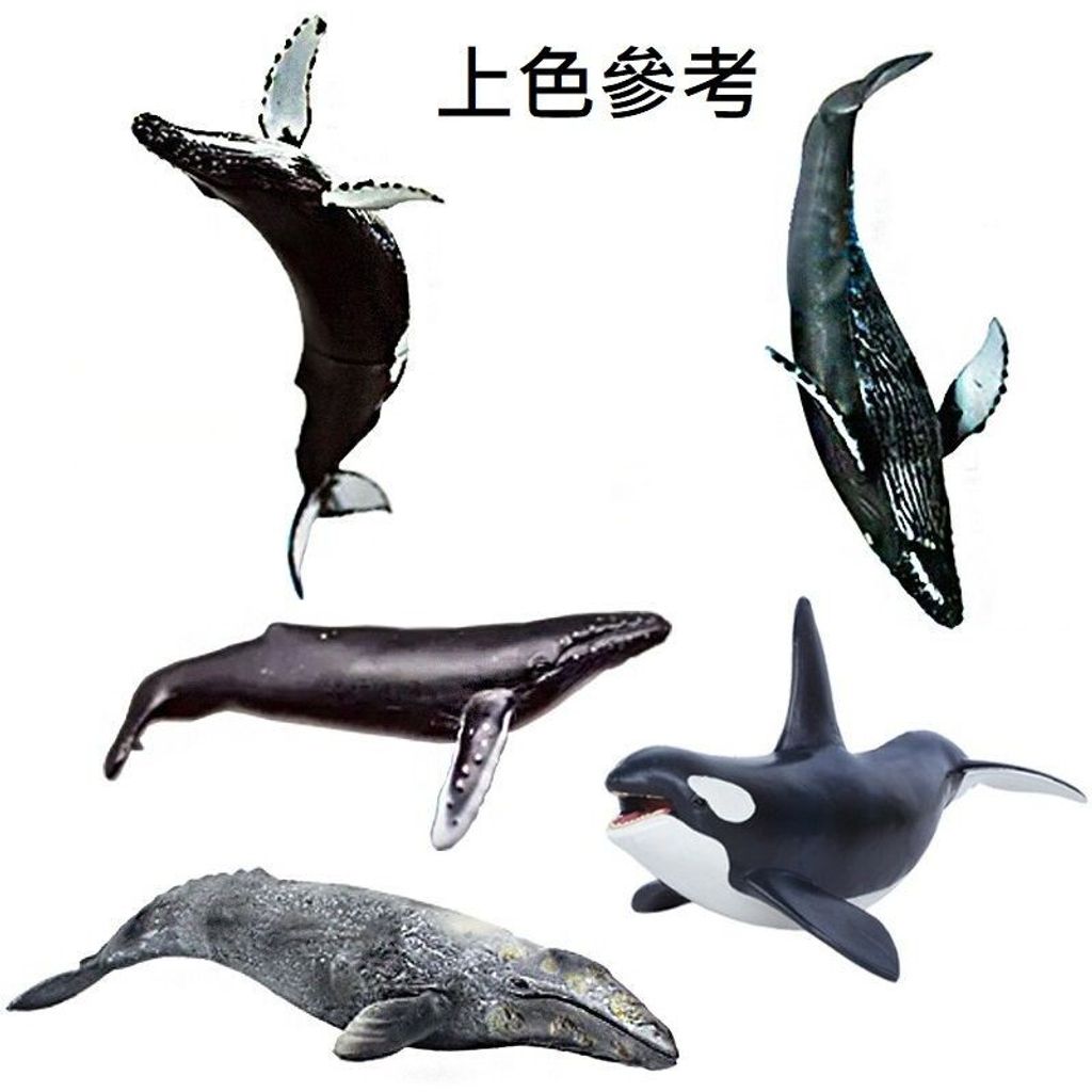 sg-11134201-7reps-m2m5c9eo65zd83