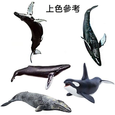 sg-11134201-7reps-m2m5c9eo65zd83