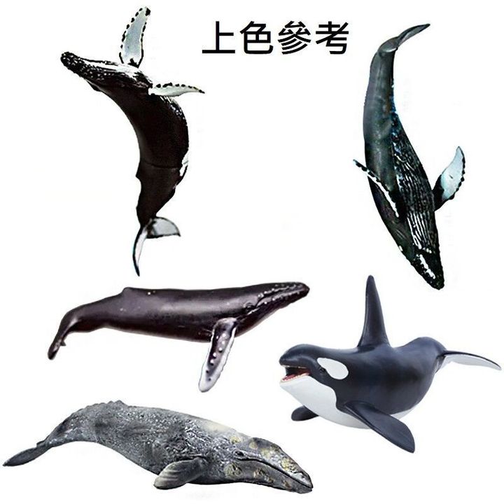 sg-11134201-7reps-m2m5c9eo65zd83
