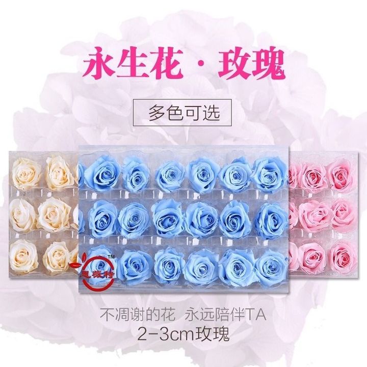 sg-11134201-7rbmh-lps6dzq64euya1
