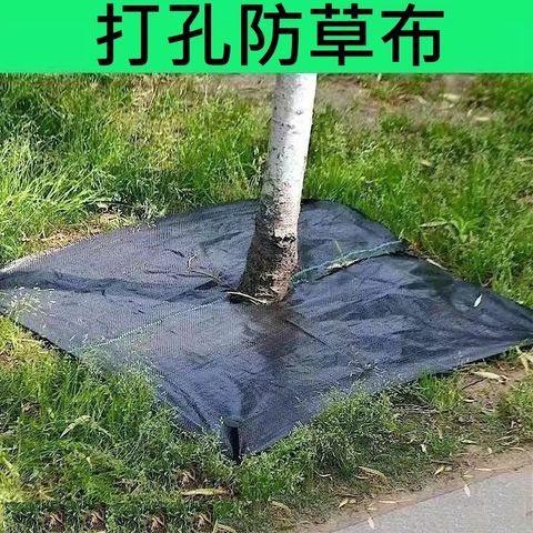 tw-11134207-7rasi-m2gz8kvqdf45dc