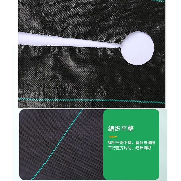 tw-11134207-7rasm-m2gz8kuwg0t6f2