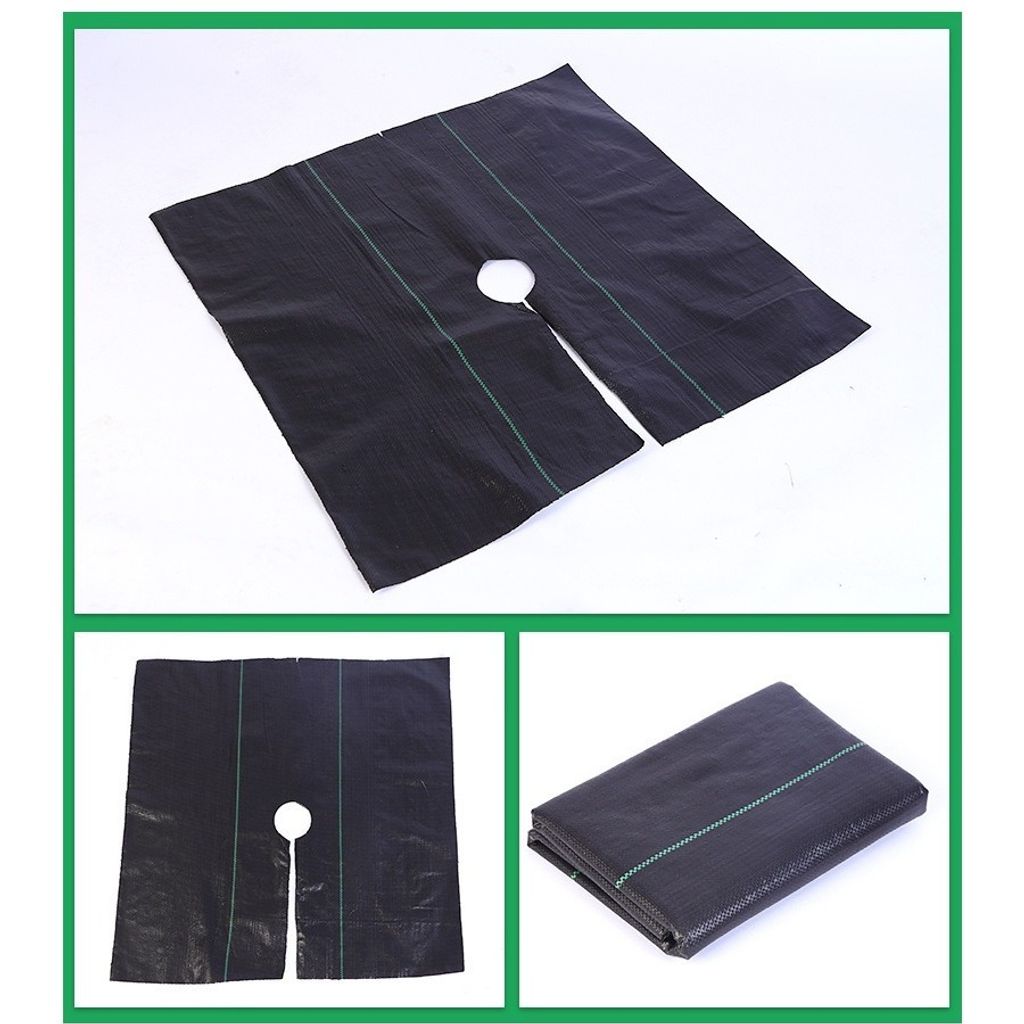tw-11134207-7ras8-m2gz8kuwhfdmd1