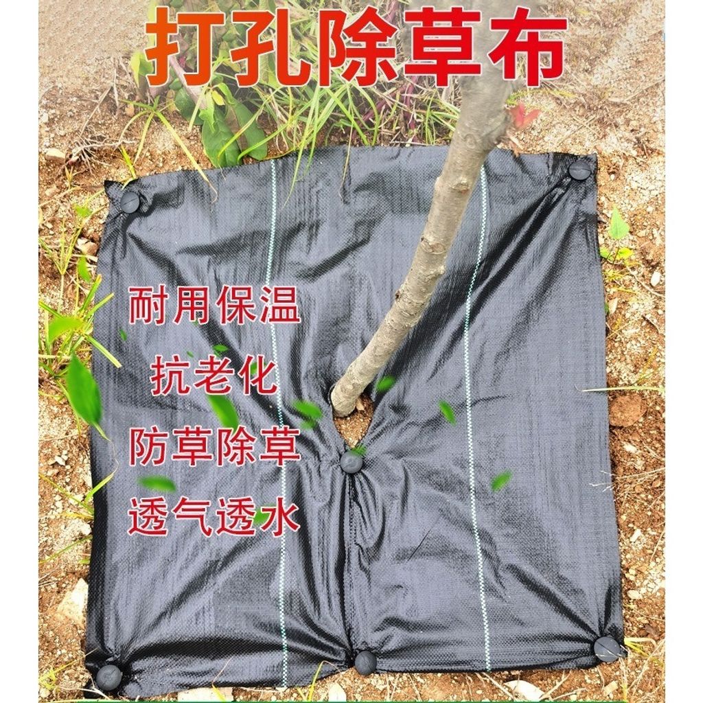 tw-11134207-7ras9-m2gz8kuwem8q97