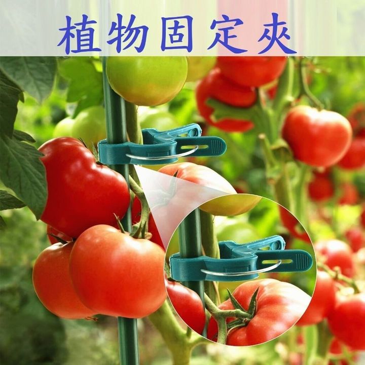 sg-11134201-7rd6q-m7t61wg0g64148