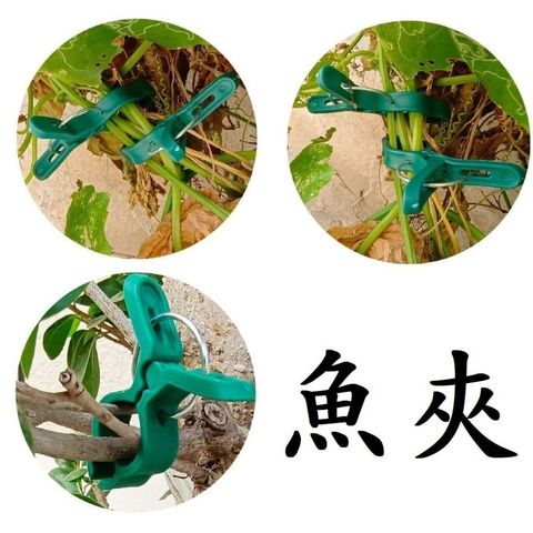 sg-11134201-7rd5s-m7t61wvjtgo73a