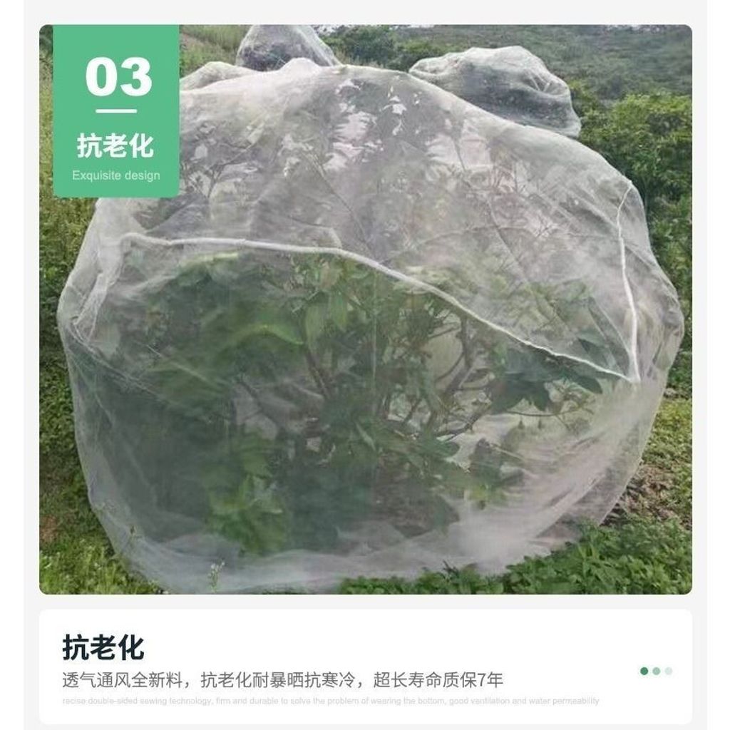 sg-11134201-7req7-m1qg4kl6bzhy88
