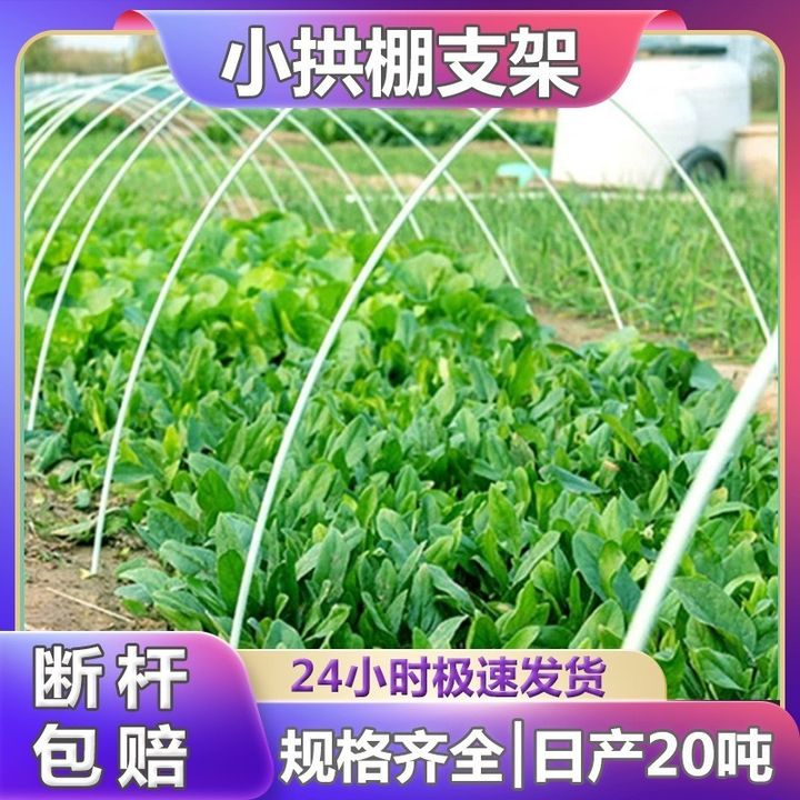 tw-11134207-7rash-m30tvr1ms9lw54