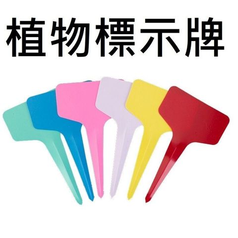 sg-11134201-7rdyt-lzr84bftvk073e