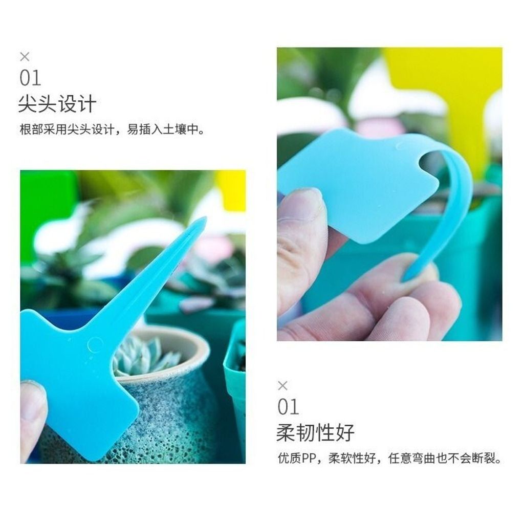 sg-11134201-7rdxd-lzr84ceigsuf4b