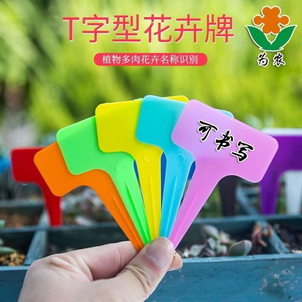 sg-11134201-7rdyl-lzr84d2dhwfo1c