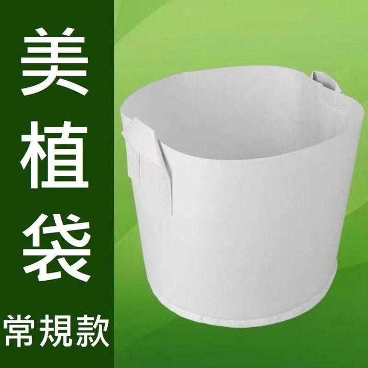 sg-11134201-7rdvm-m0xtpb9vf6joc5