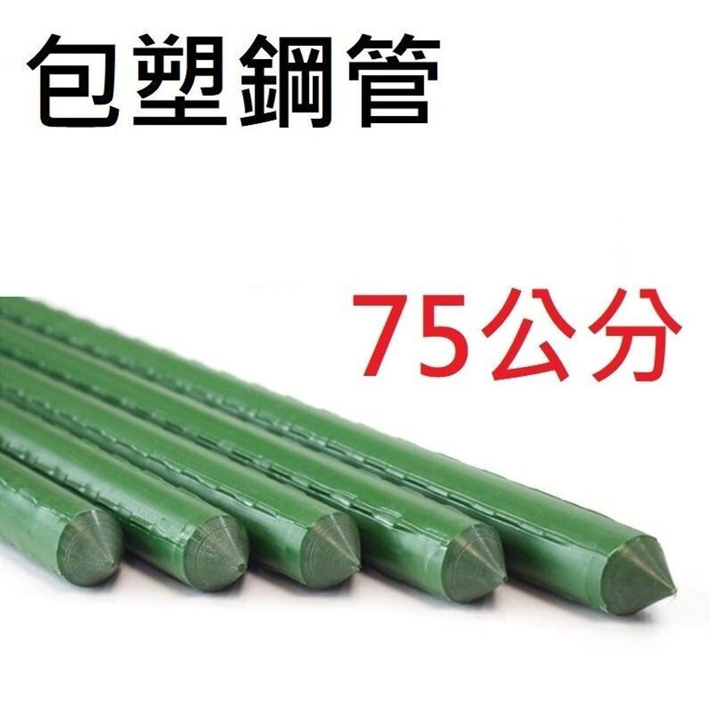 sg-11134201-7rfho-m3pstkwwi3pz22