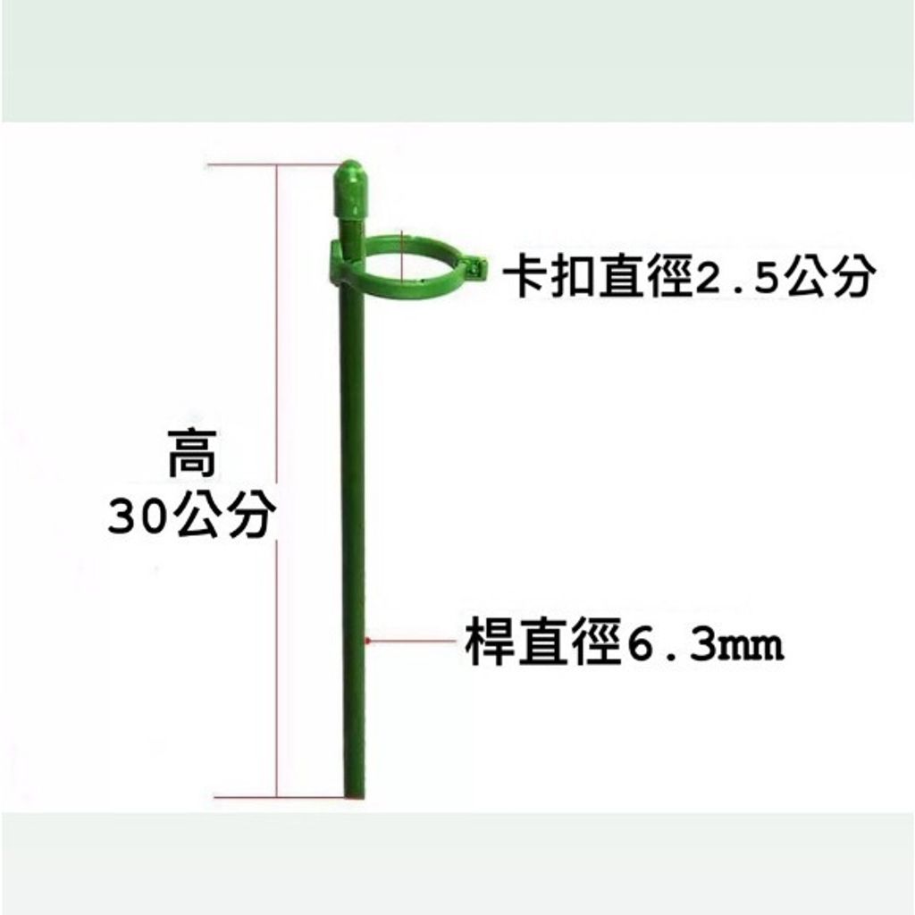 tw-11134207-7ras9-m1r3qyq292xpf2