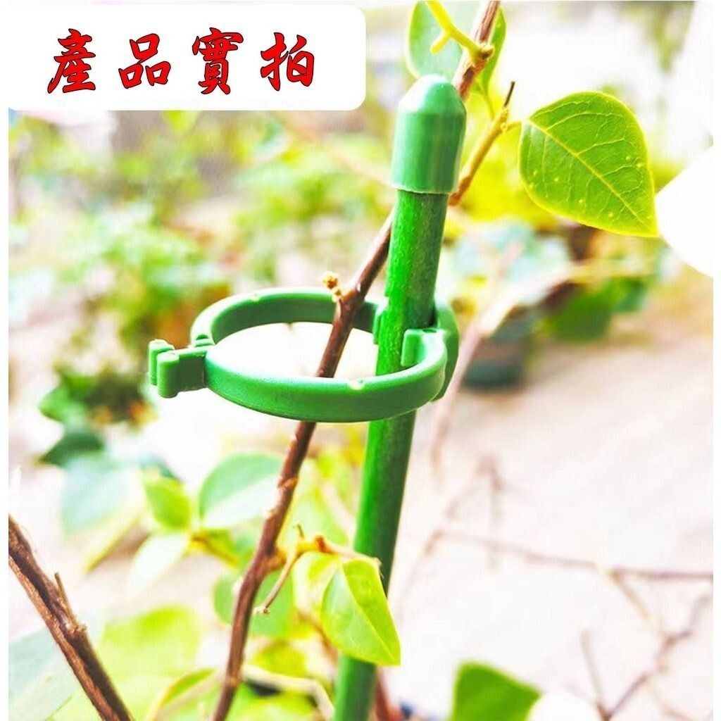 sg-11134201-7rdyf-lz2txhkyyeiu79