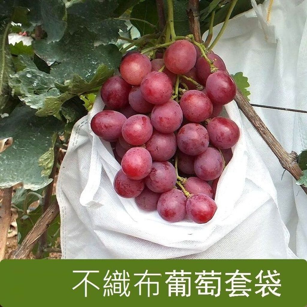 sg-11134201-7rfgu-m3vepwsszf7qf9