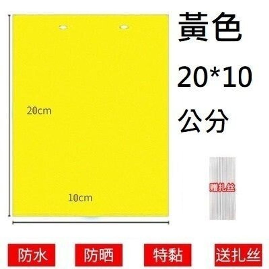 sg-11134201-7rd5o-lw9g9kqtq5gvdd