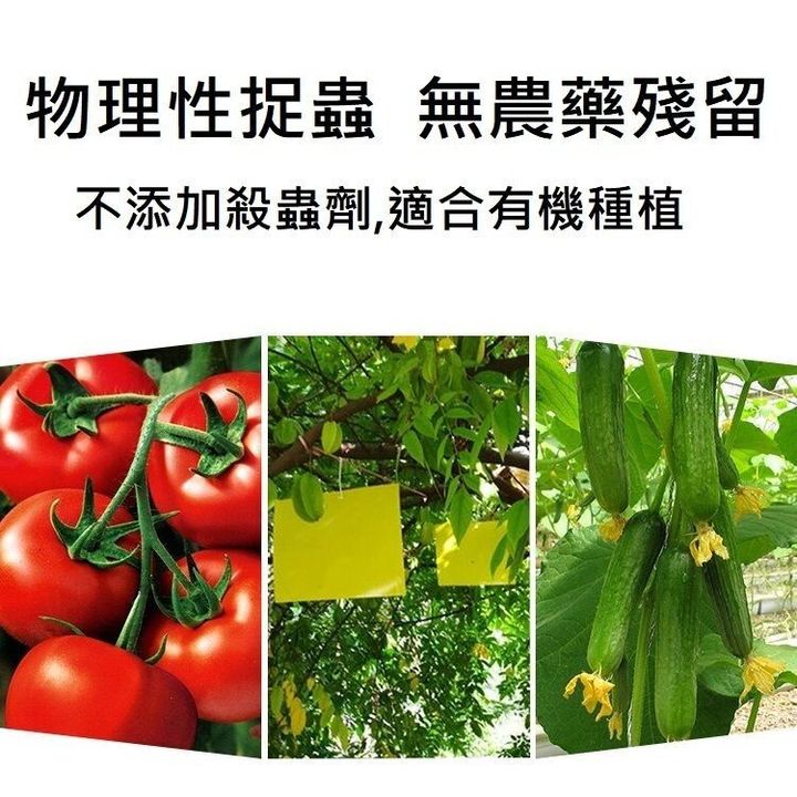 sg-11134201-7rfhd-m9a0cxwlk1uh39