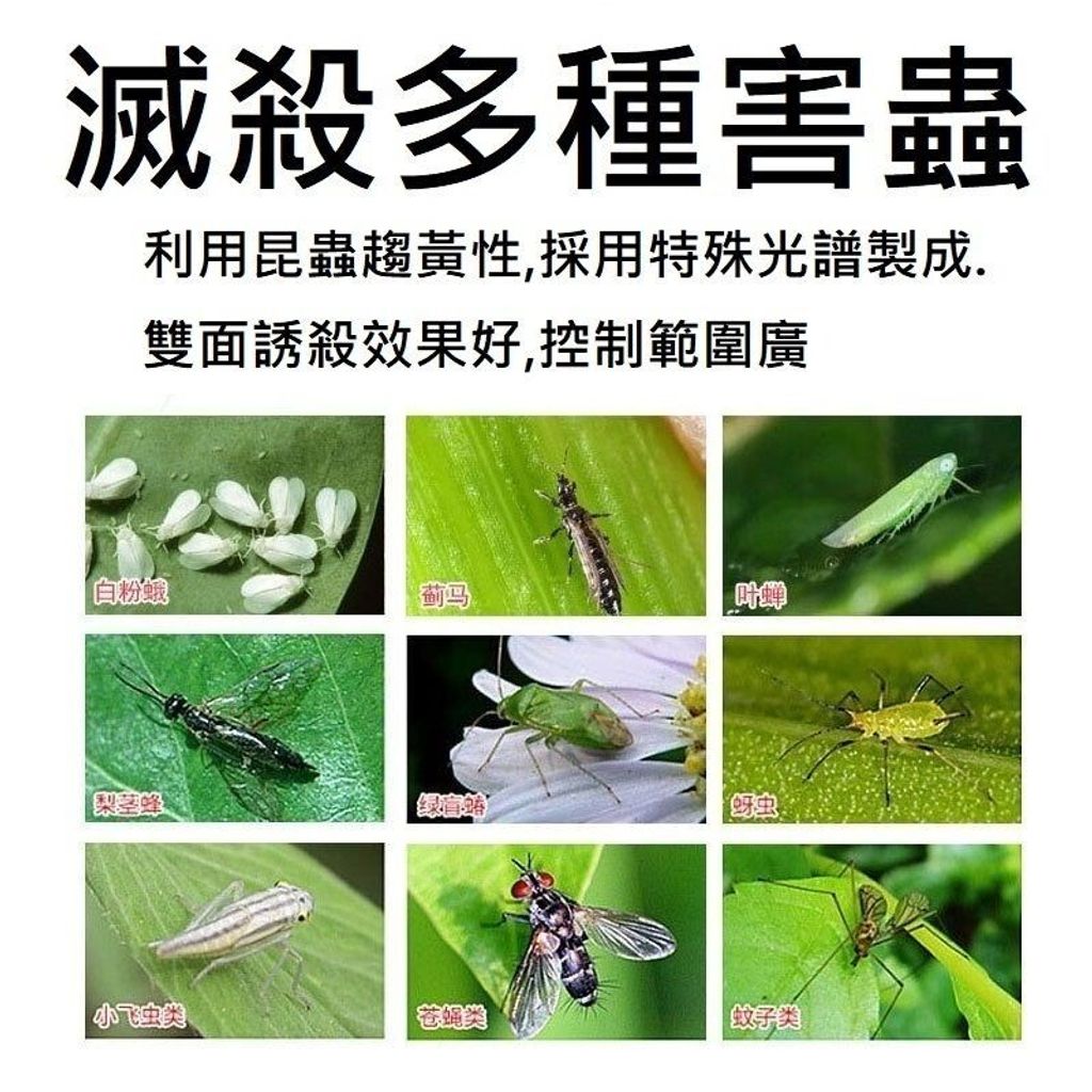 sg-11134201-7rfg7-m9a0cyb0xj1l5b