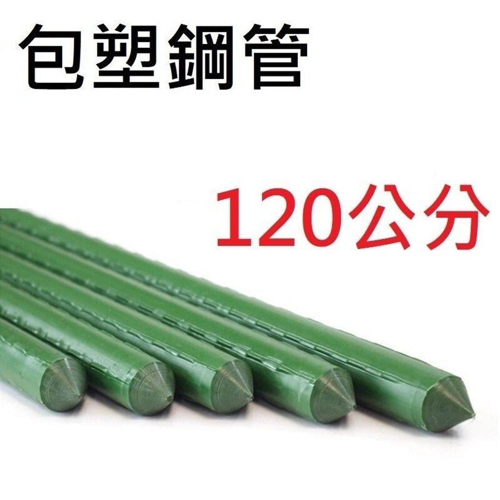 sg-11134201-7rfgq-m3ptqyju1xrbd6