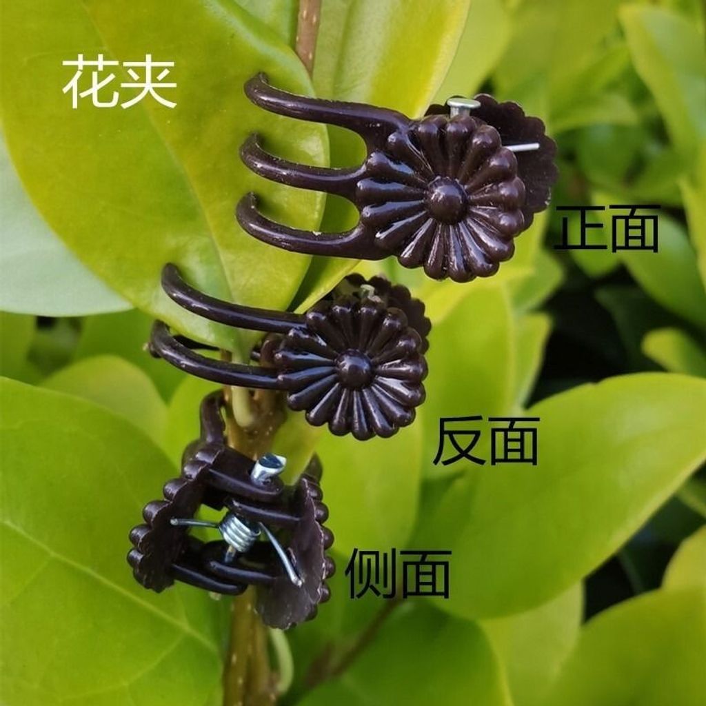 sg-11134201-7rdxx-lz26zchbgfqi07