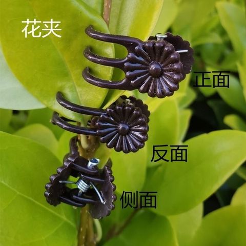 sg-11134201-7rdxx-lz26zchbgfqi07