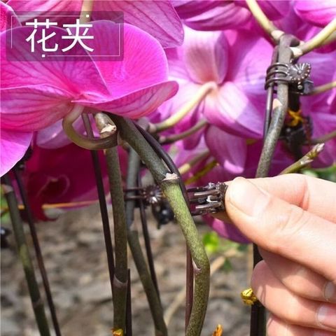 sg-11134201-7rdx4-lz26zcoj5vfe16