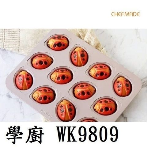 sg-11134201-7rbkk-lqol0evwe8w495