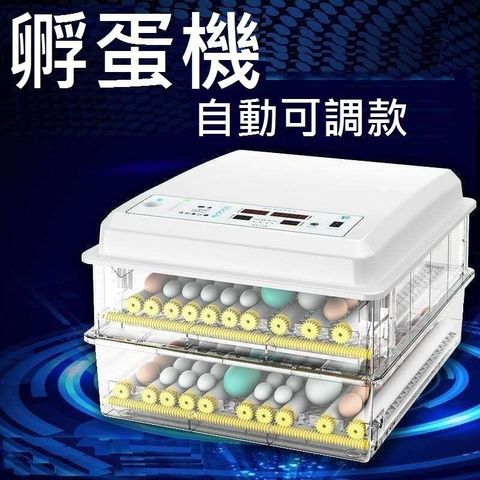 sg-11134201-7rdvz-ly1neihhw0w620