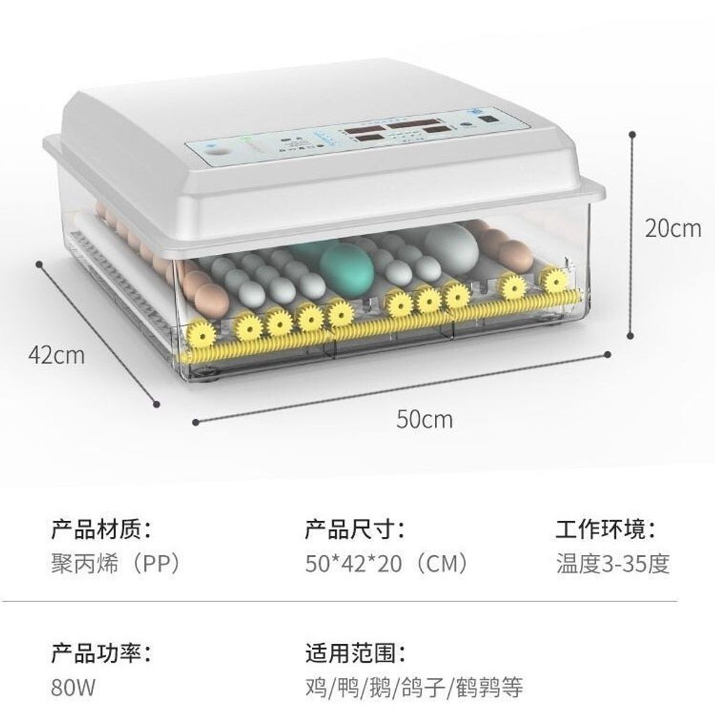 sg-11134201-7rdww-ly1nejp22veu96
