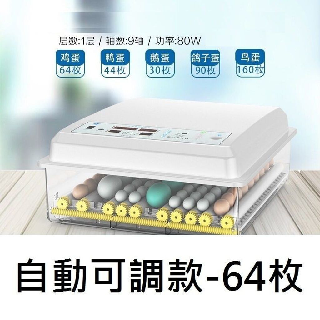 sg-11134201-7rdy9-ly1neledl5c8d8
