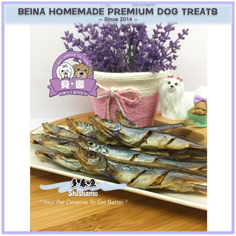 Show Me Plus Probiotics Beina Homemade Dog Treats