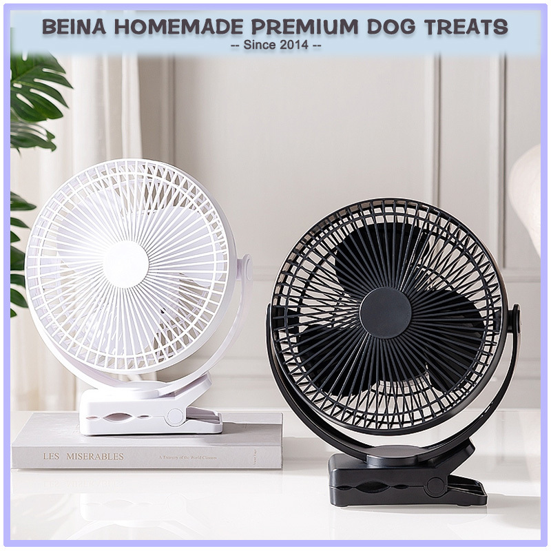 fan