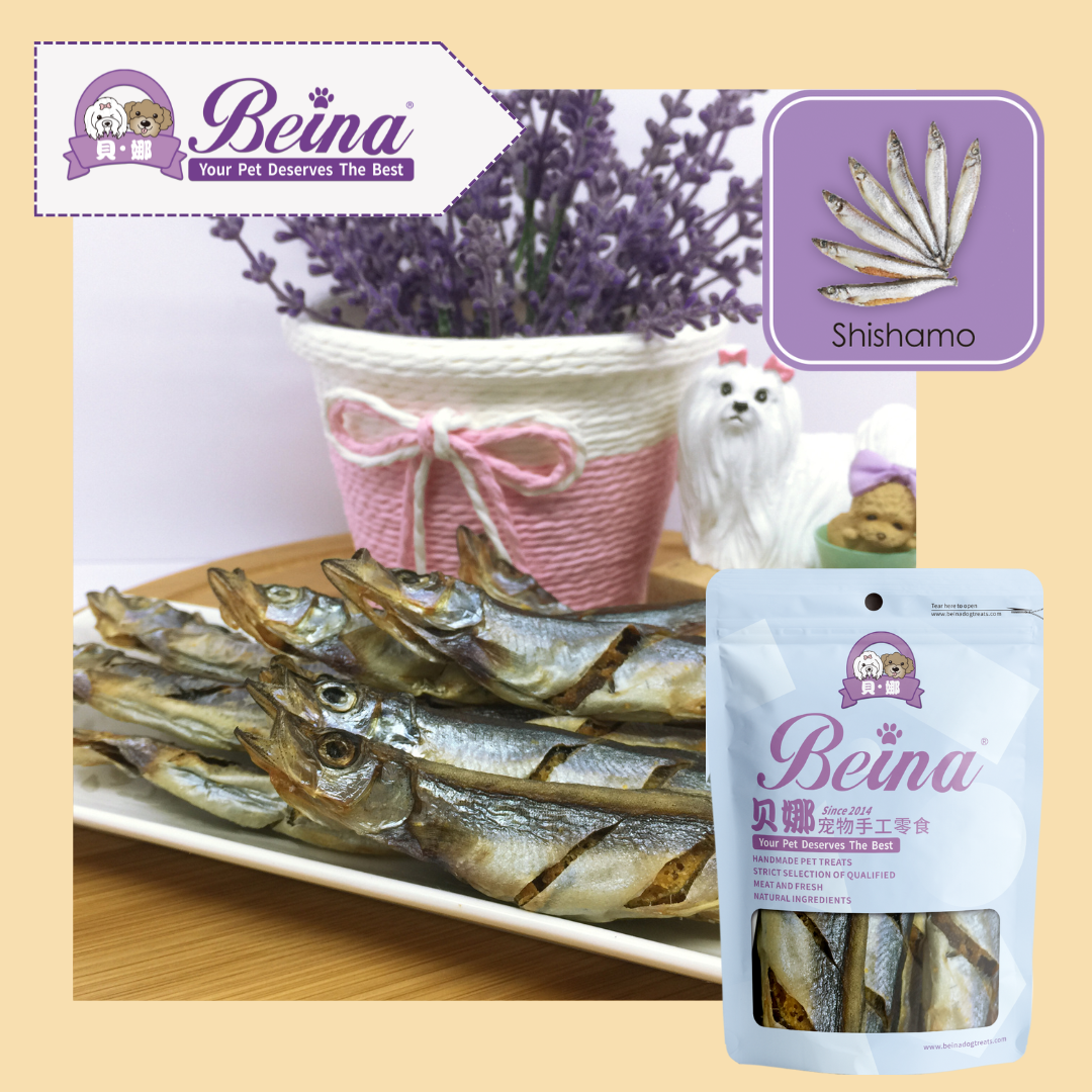 060 多春鱼 Shishamo