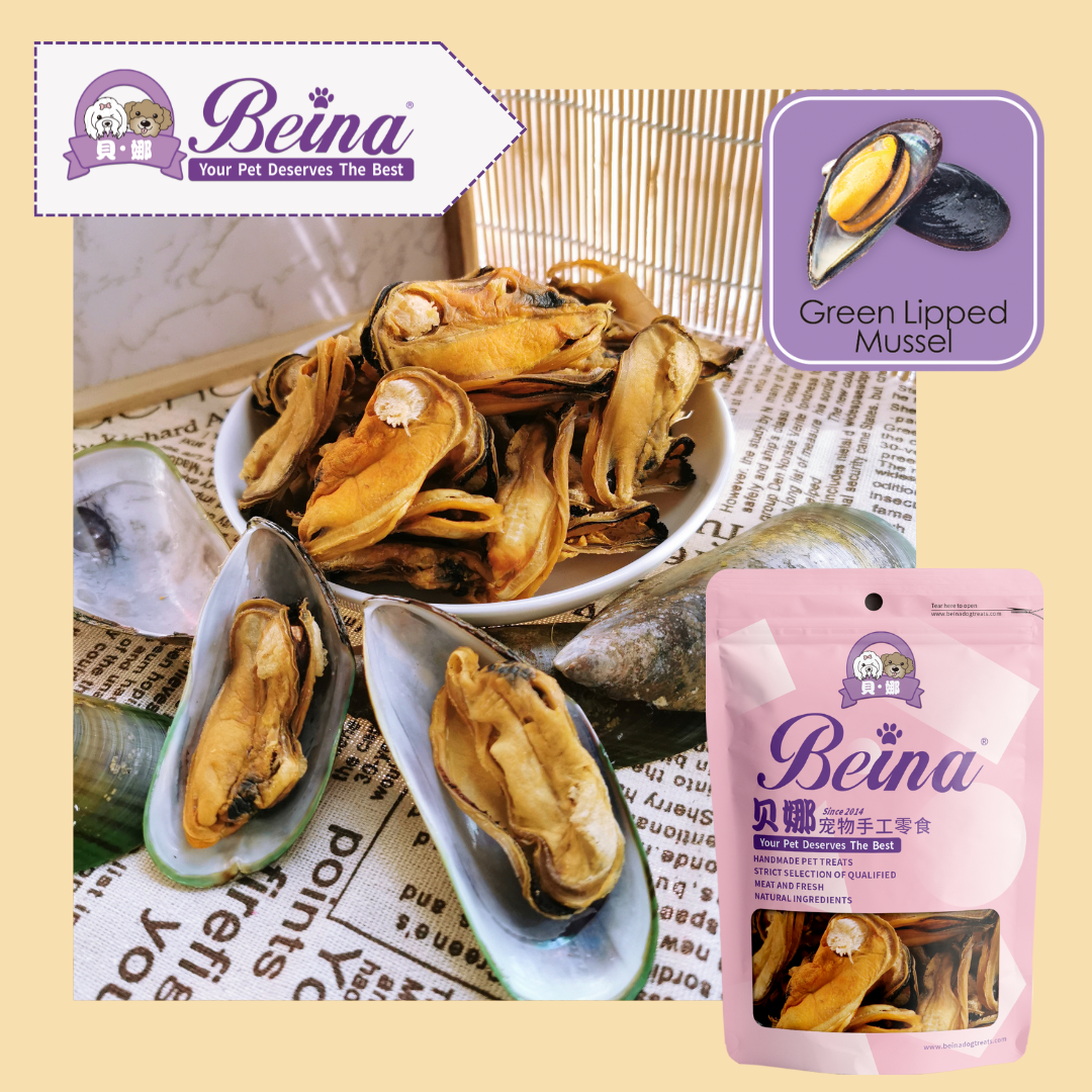 062 青口贝 Green Lipped Mussel