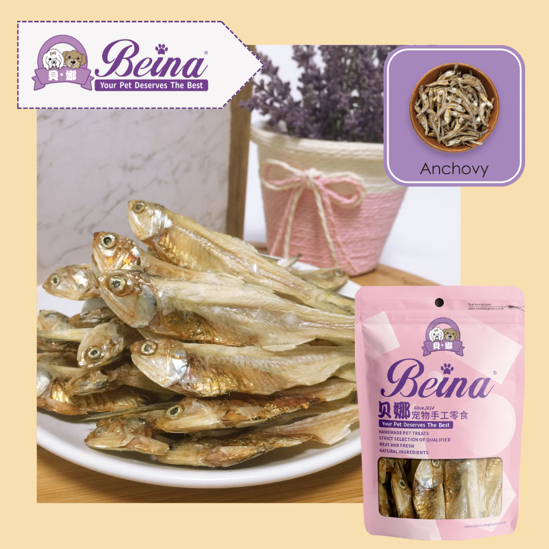 083 小鱼干 Anchovy