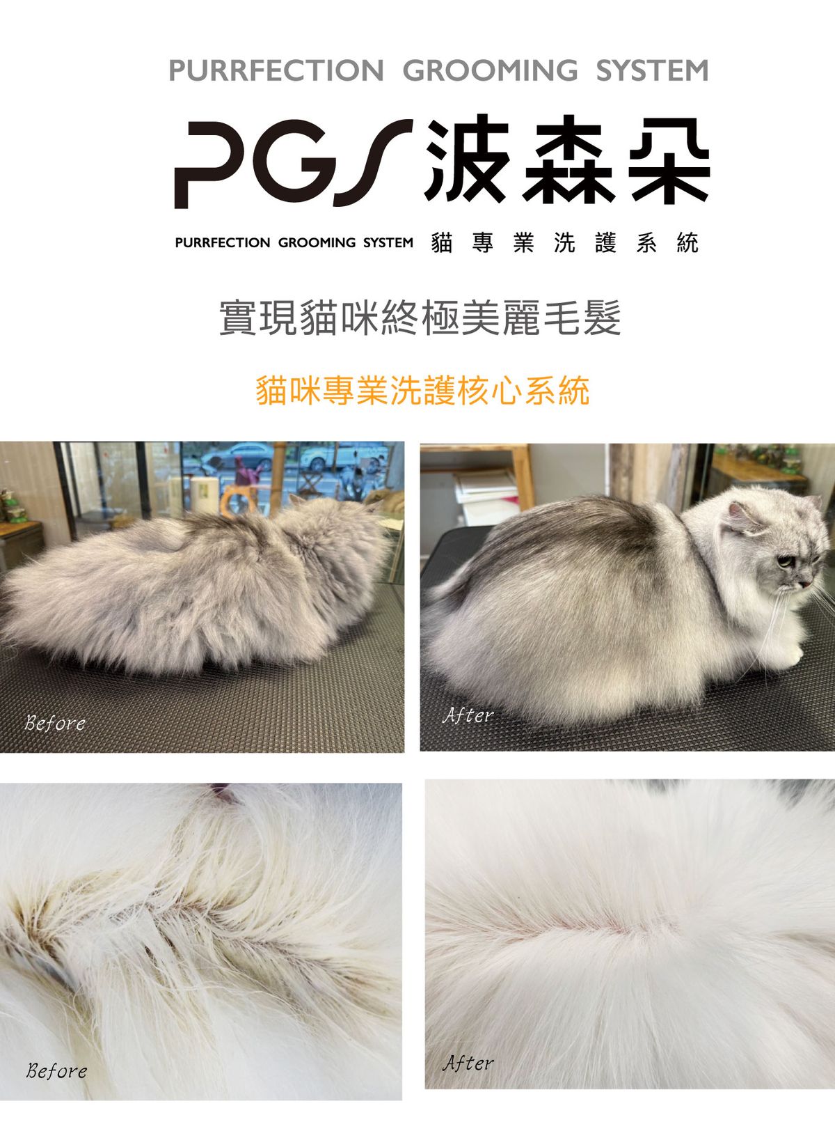 PGS 波森朵 貓專業洗護系統 | 