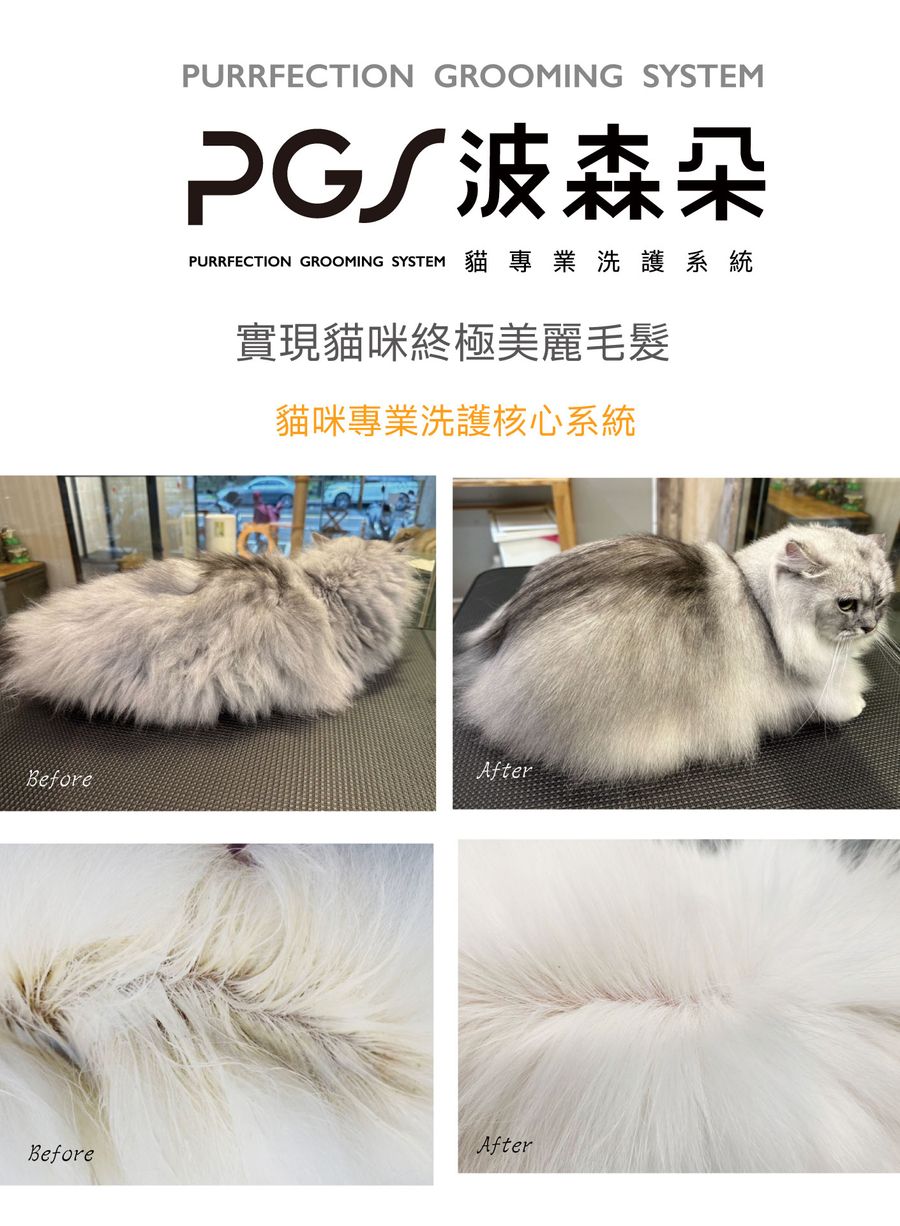 PGS 波森朵 貓專業洗護系統 | 
