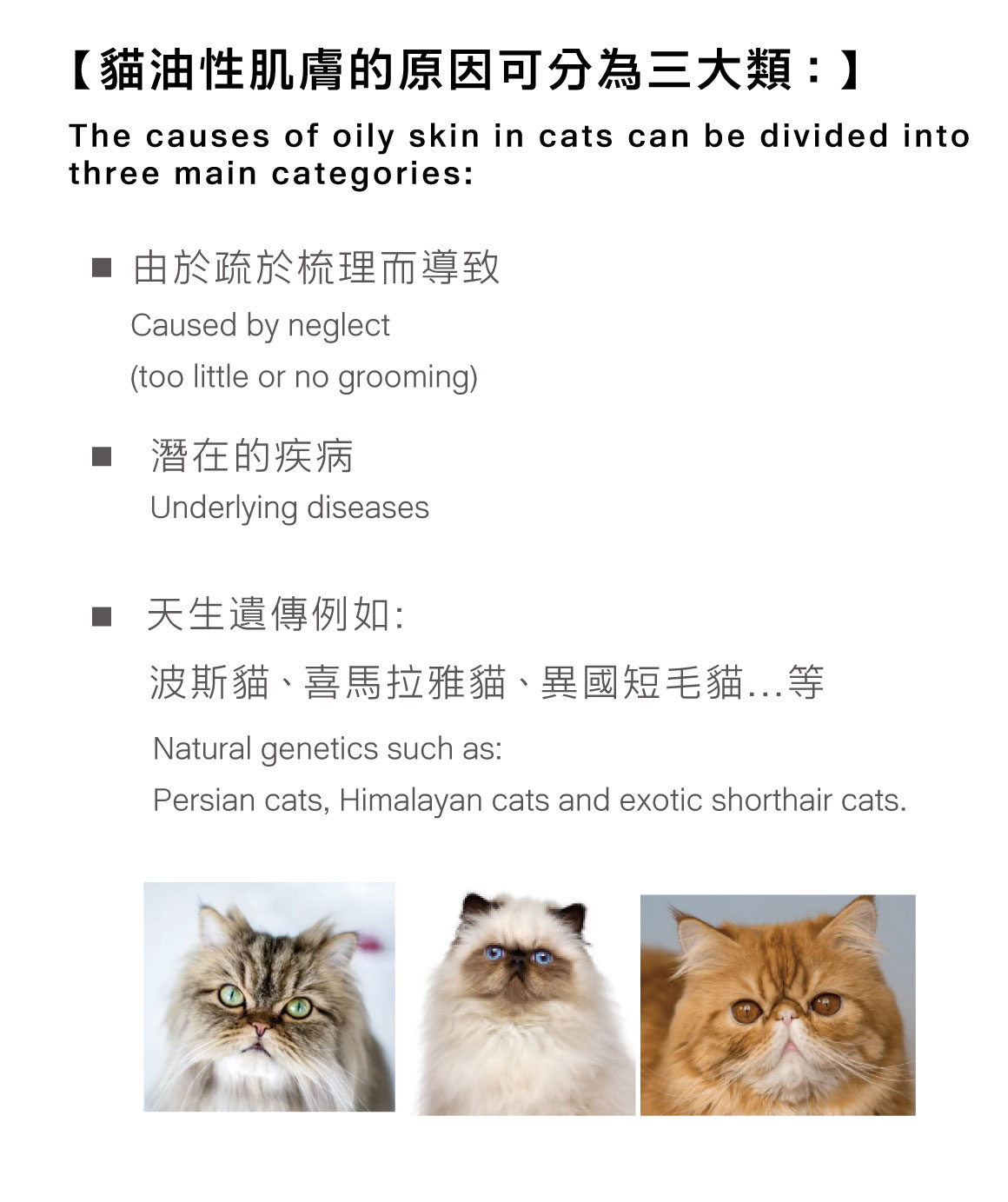 貓的皮毛感覺很油膩，為什麼？大字05