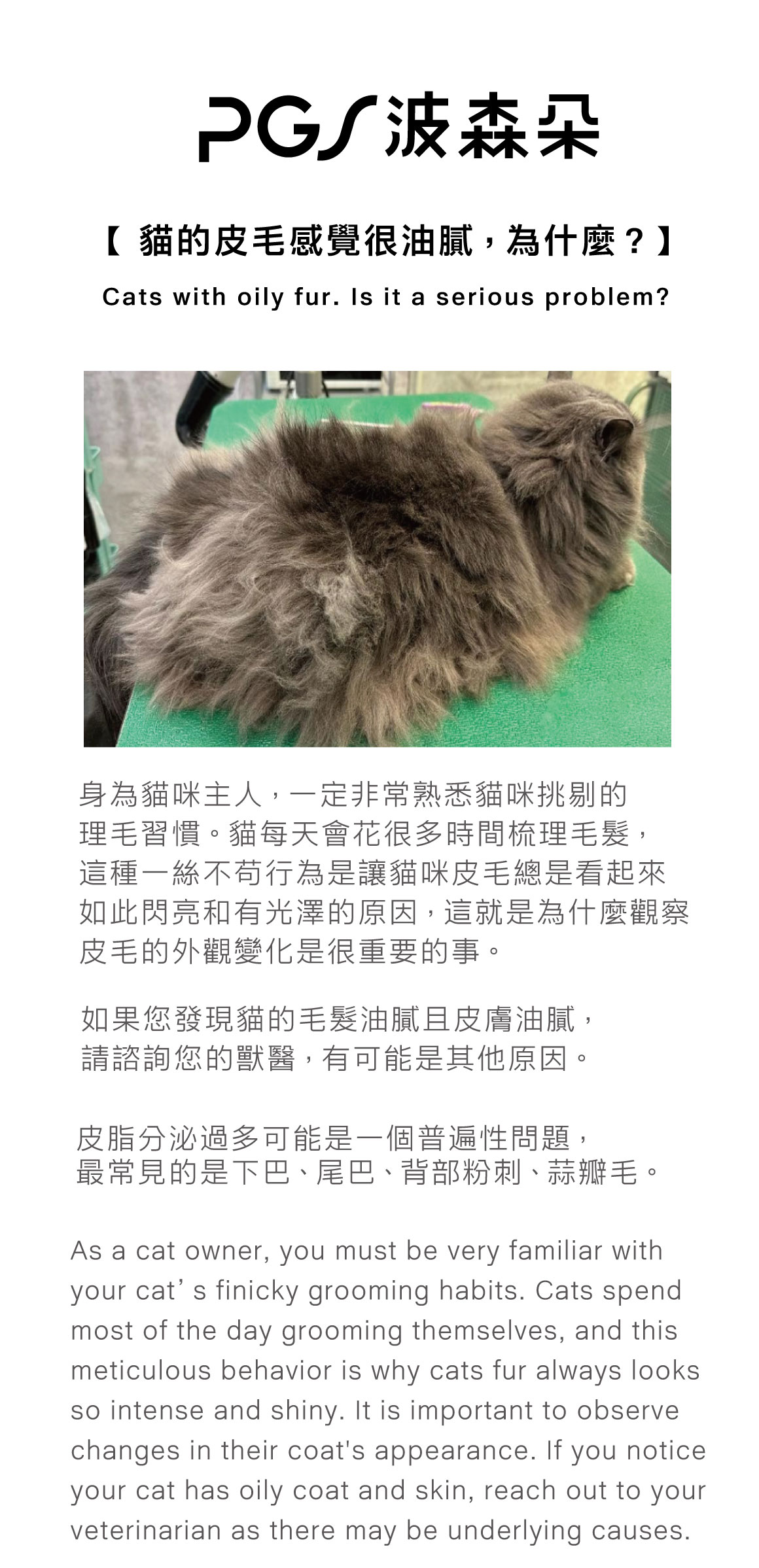 貓的皮毛感覺很油膩，為什麼？大字01