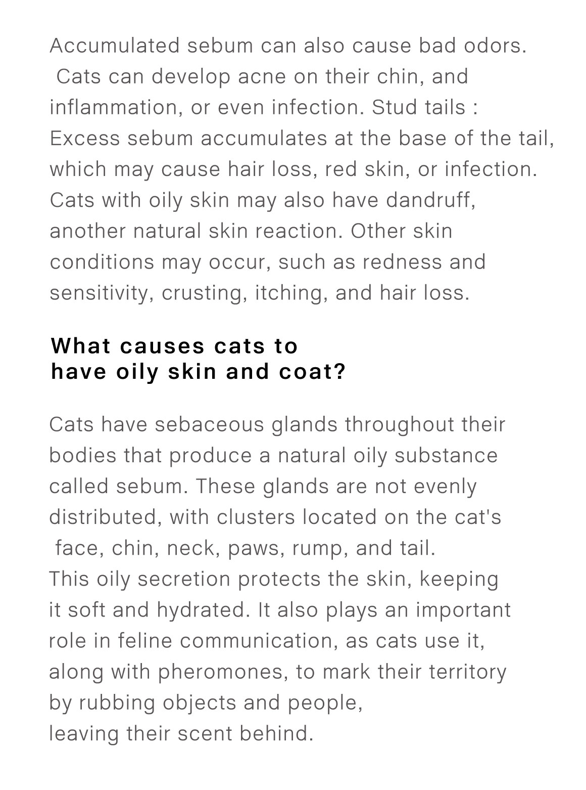 貓的皮毛感覺很油膩，為什麼？大字04