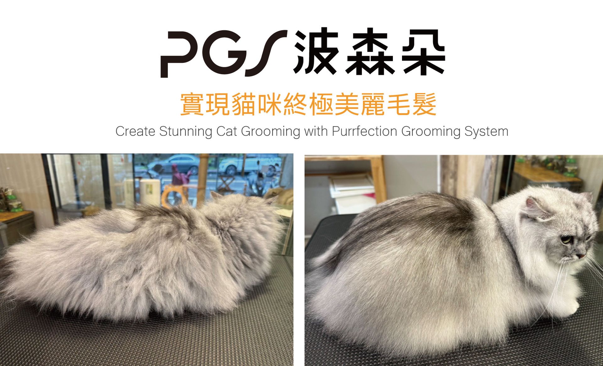 PGS 波森朵 貓專業洗護系統 | 