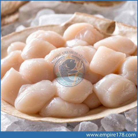 Hokkaido Japanese Scallops 顶级北海道带子 Xl Empire 178 Fresh Seafood Hokkaido Japanese Scallops 顶级北海道带子 Xl Empire 178 Fresh Seafood