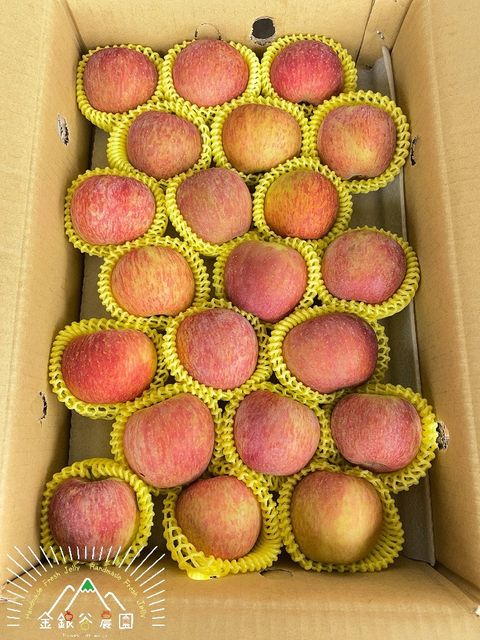 蜜蘋果8A-21入
